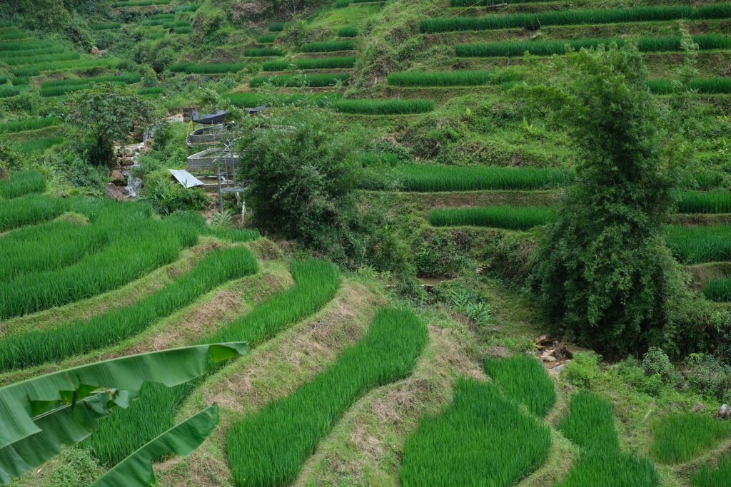 SAPA IN VIETNAM: THE MOST RICE FIELDS AND MOUNTAIN VILLAGES