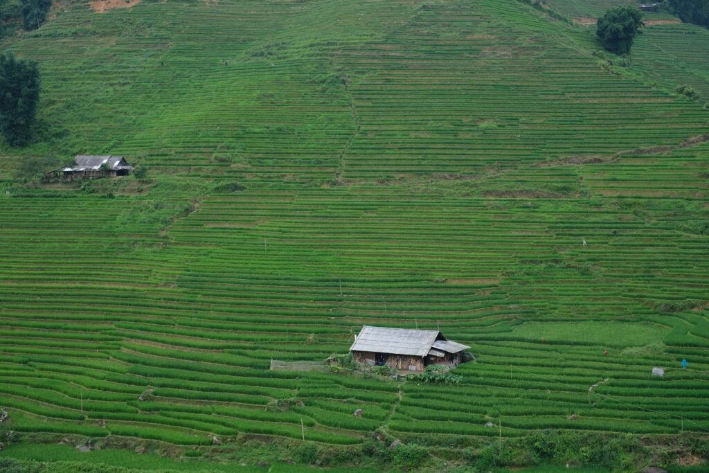 SAPA IN VIETNAM: THE MOST RICE FIELDS AND MOUNTAIN VILLAGES