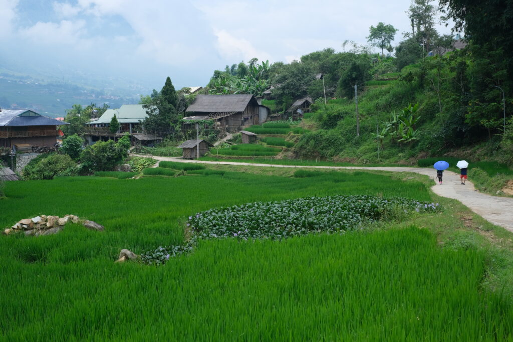 SAPA IN VIETNAM: THE MOST RICE FIELDS AND MOUNTAIN VILLAGES