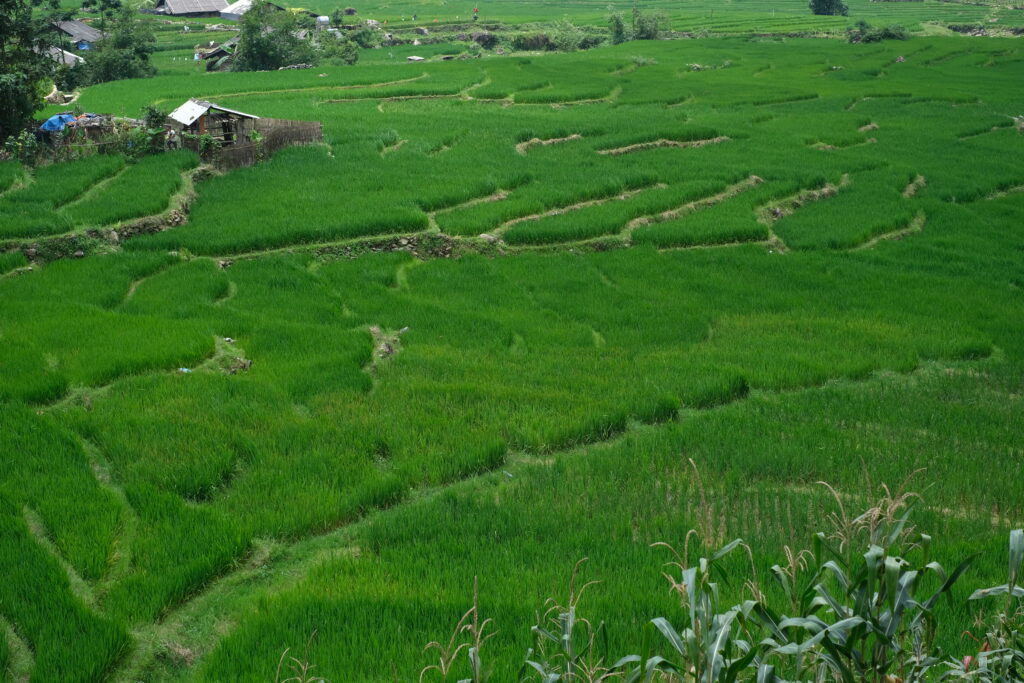 SAPA IN VIETNAM: THE MOST RICE FIELDS AND MOUNTAIN VILLAGES