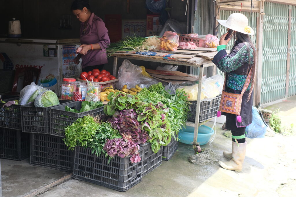 SAPA IN VIETNAM: THE MOST RICE FIELDS AND MOUNTAIN VILLAGES